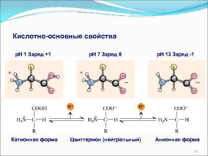 Кислотно-основные свойства p. H 1 Заряд +1 p. H 7 Заряд 0 Катионная форма