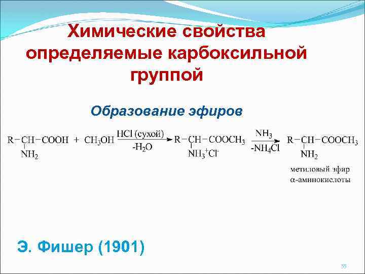 Химические свойства определяемые карбоксильной группой Образование эфиров Э. Фишер (1901) 55 