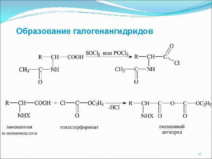 Образование галогенангидридов 56 