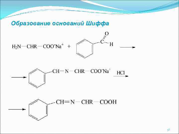 Образование оснований Шиффа 58 