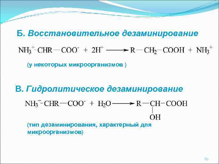 Б. Восстановительное дезаминирование (у некоторых микроорганизмов ) В. Гидролитическое дезаминирование (тип дезаминирования, характерный для