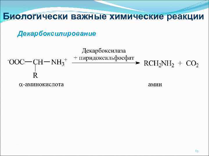 Биологически важные химические реакции Декарбоксилирование 65 