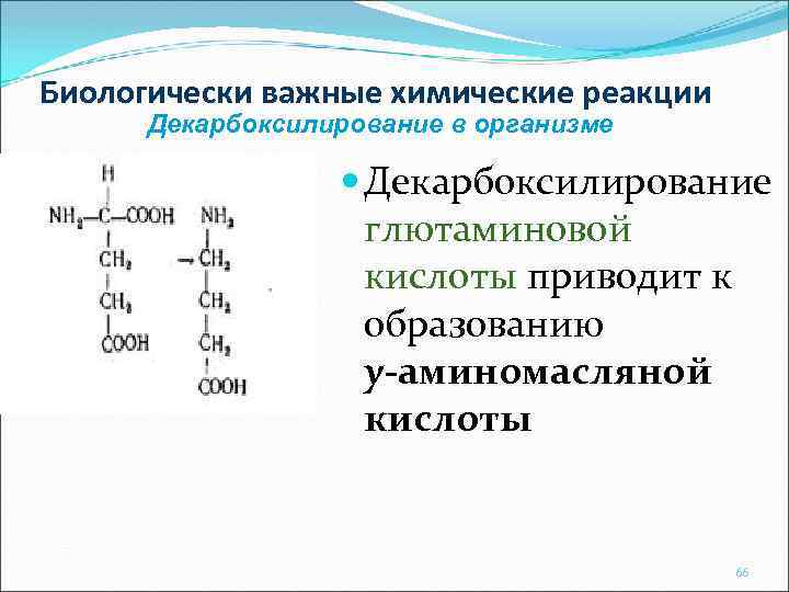 Биологически важные химические реакции Декарбоксилирование в организме Декарбоксилирование глютаминовой кислоты приводит к образованию у-аминомасляной
