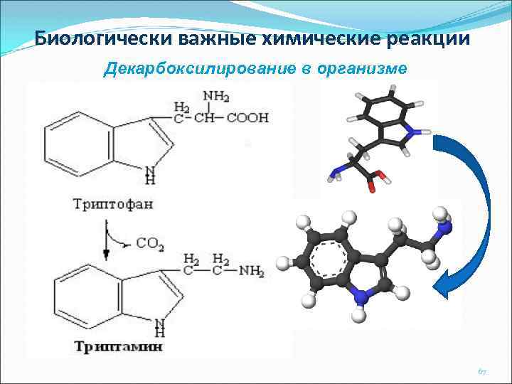 Биологически важные химические реакции Декарбоксилирование в организме 67 