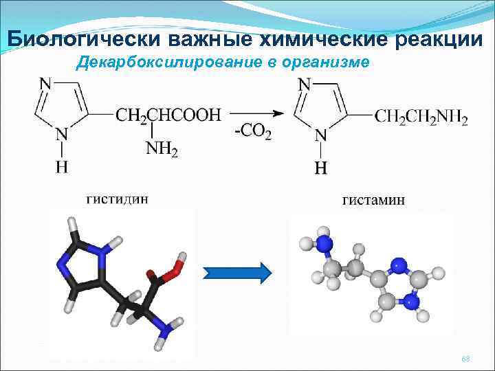 Биологически важные химические реакции Декарбоксилирование в организме 68 