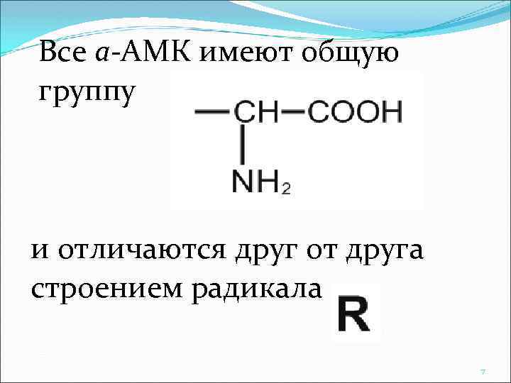 Все a-АМК имеют общую группу и отличаются друг от друга строением радикала 7 