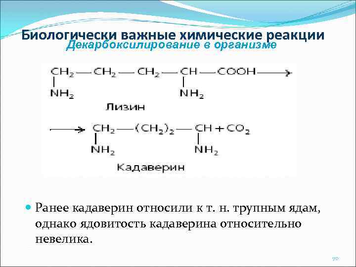 Биологически важные химические реакции Декарбоксилирование в организме Ранее кадаверин относили к т. н. трупным