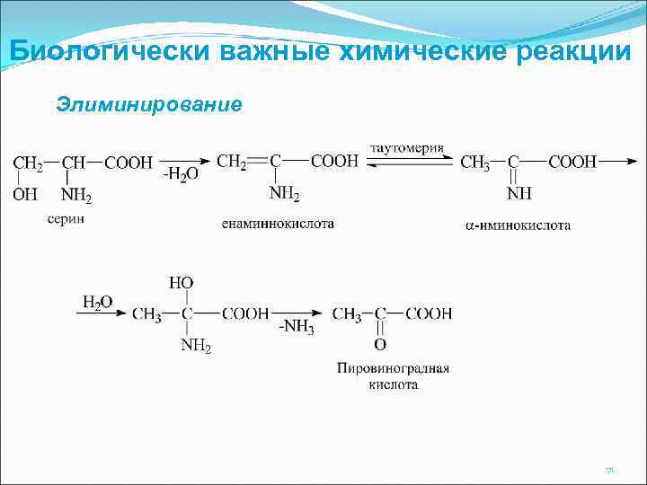 Биологически важные химические реакции Элиминирование 71 