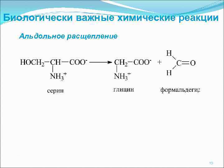 Биологически важные химические реакции Альдольное расщепление 73 