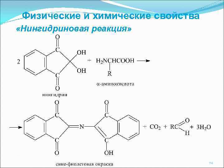 Физические и химические свойства «Нингидриновая реакция» 74 