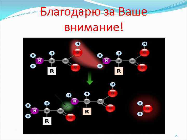 Благодарю за Ваше внимание! 75 