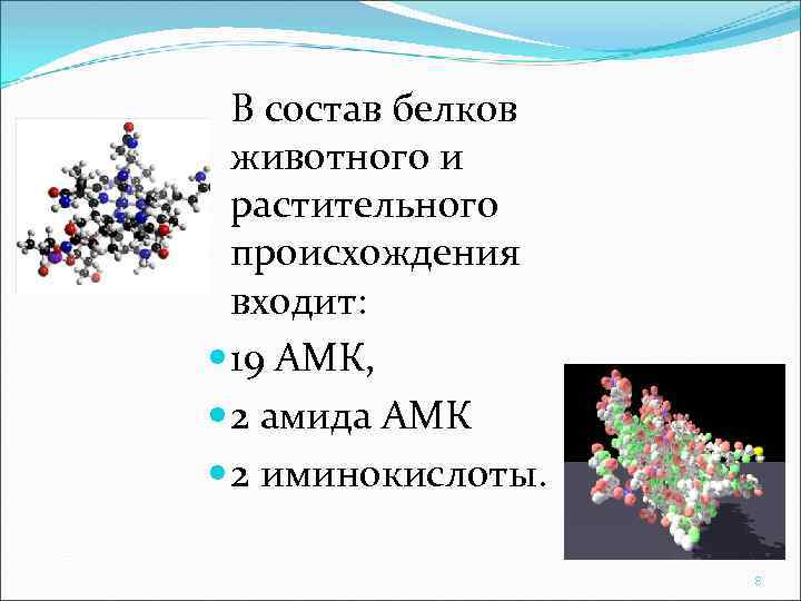 В состав белков животного и растительного происхождения входит: 19 АМК, 2 амида АМК 2