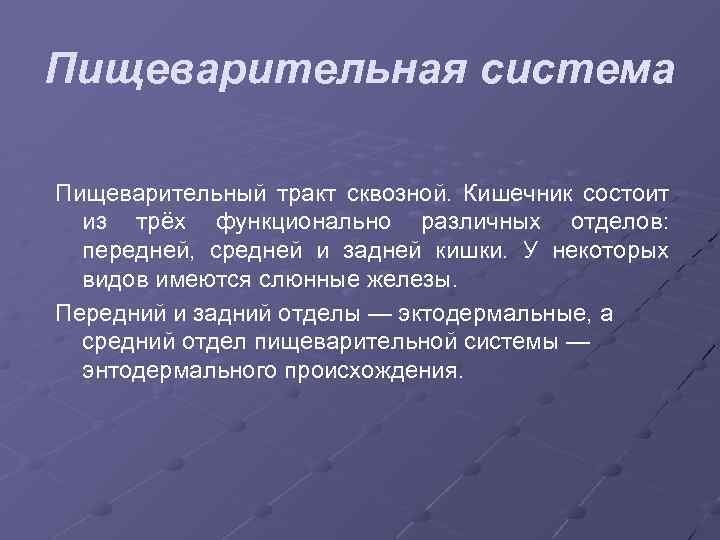 Пищеварительная система Пищеварительный тракт сквозной. Кишечник состоит из трёх функционально различных отделов: передней, средней