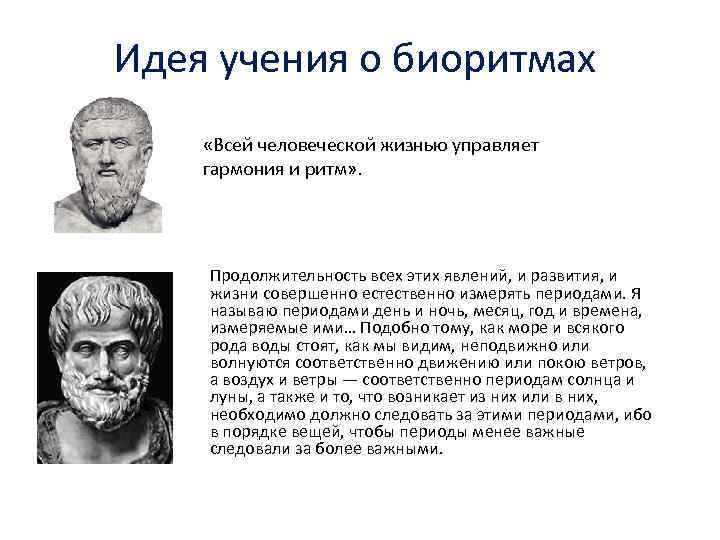 Идея учения о биоритмах «Всей человеческой жизнью управляет гармония и ритм» . Продолжительность всех