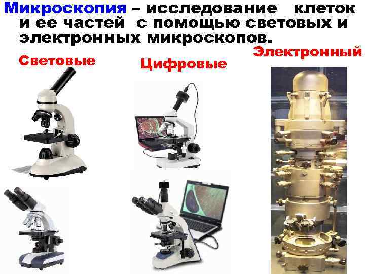 Отличительной особенностью цифрового микроскопа является возможность получения реального изображения