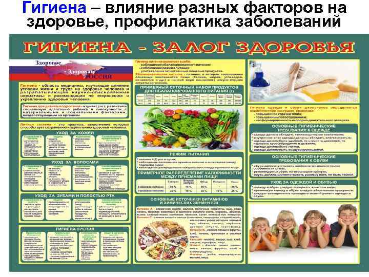 Гигиена – влияние разных факторов на здоровье, профилактика заболеваний 