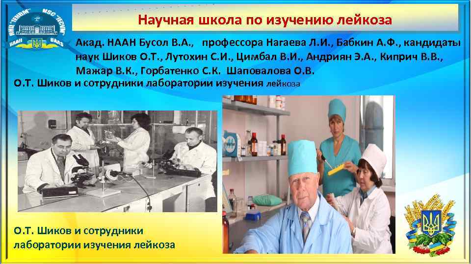  Научная школа по изучению лейкоза Акад. НААН Бусол В. А. , профессора Нагаева