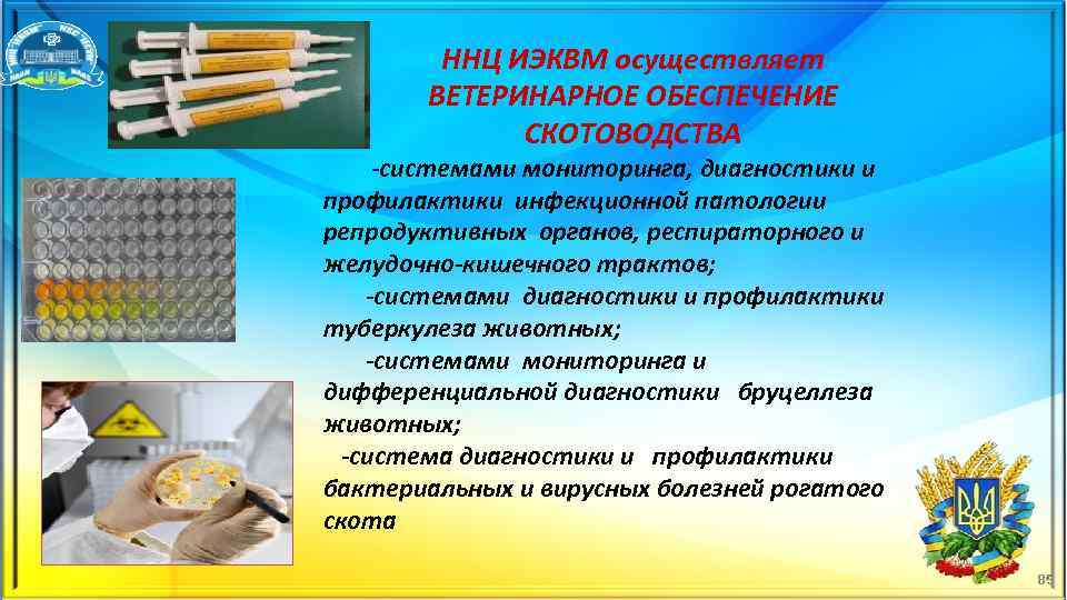 ННЦ ИЭКВМ осуществляет ВЕТЕРИНАРНОЕ ОБЕСПЕЧЕНИЕ СКОТОВОДСТВА системами мониторинга, диагностики и профилактики инфекционной патологии репродуктивных