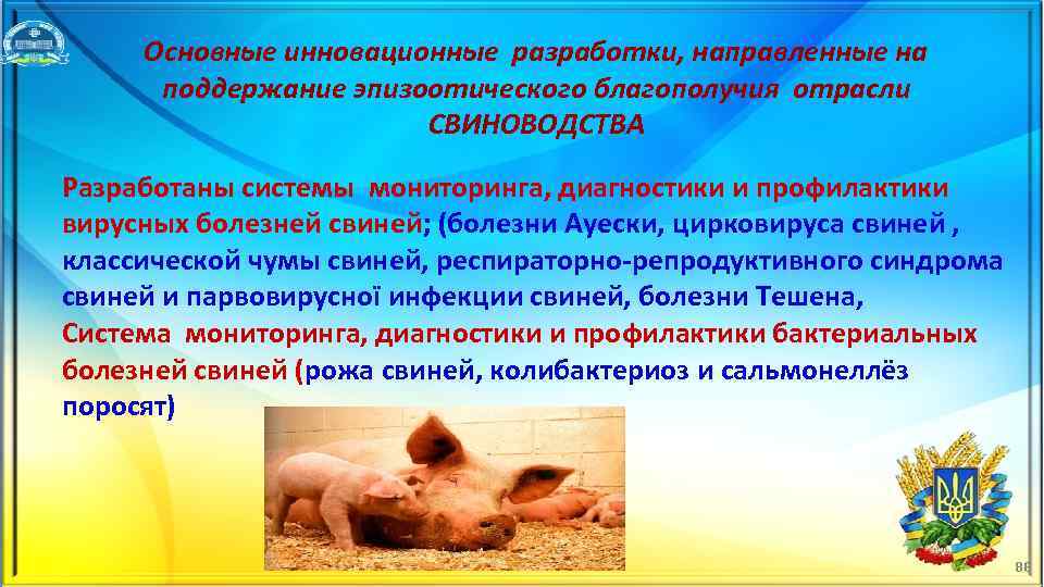 Основные инновационные разработки, направленные на поддержание эпизоотического благополучия отрасли СВИНОВОДСТВА Разработаны системы мониторинга, диагностики