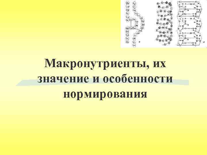 Макронутриенты, их значение и особенности нормирования 