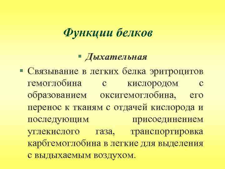 Функции белков § Дыхательная § Связывание в легких белка эритроцитов гемоглобина с кислородом с