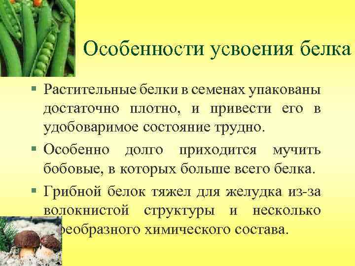 Особенности усвоения белка § Растительные белки в семенах упакованы достаточно плотно, и привести его