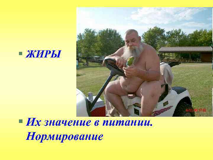 § ЖИРЫ § Их значение в питании. Нормирование 