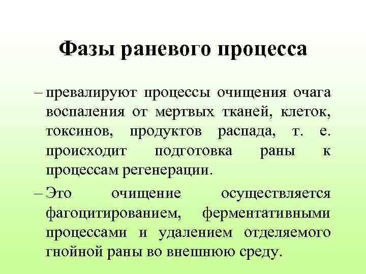 Фазы раневого процесса – превалируют процессы очищения очага воспаления от мертвых тканей, клеток, токсинов,