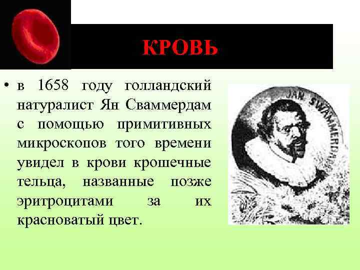 КРОВЬ • в 1658 году голландский натуралист Ян Сваммердам с помощью примитивных микроскопов того