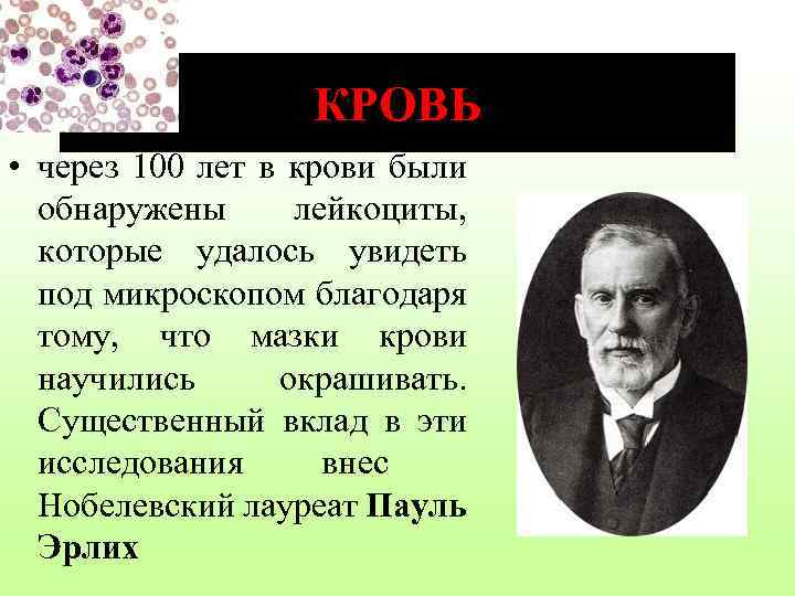 КРОВЬ • через 100 лет в крови были обнаружены лейкоциты, которые удалось увидеть под