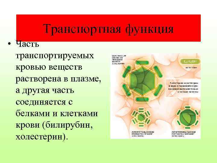 Транспортная функция • Часть транспортируемых кровью веществ растворена в плазме, а другая часть соединяется