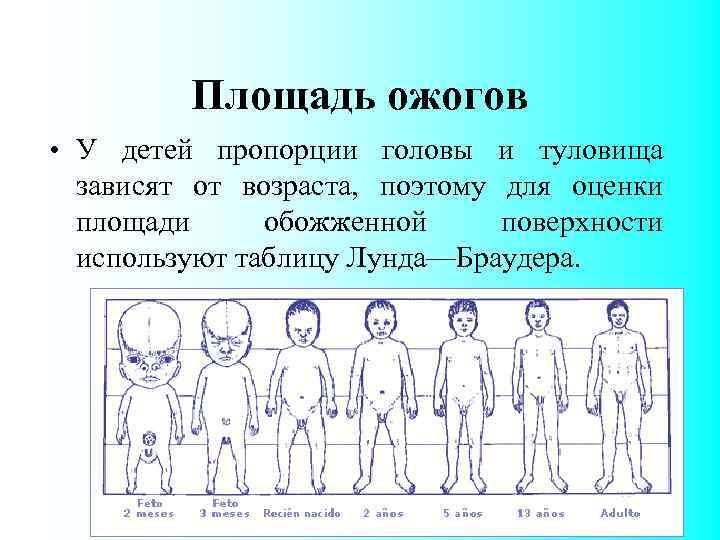 Площадь ожогов • У детей пропорции головы и туловища зависят от возраста, поэтому для