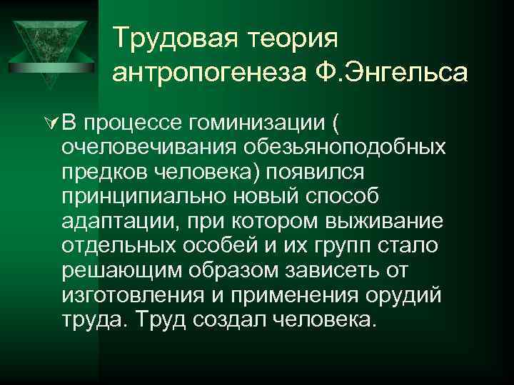 Трудовая теория антропогенеза Ф. Энгельса Ú В процессе гоминизации ( очеловечивания обезьяноподобных предков человека)