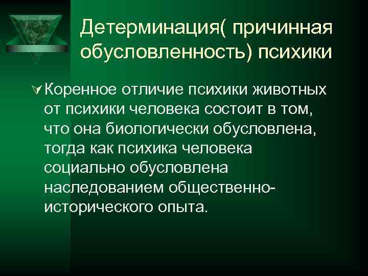 Детерминация( причинная обусловленность) психики Ú Коренное отличие психики животных от психики человека состоит в