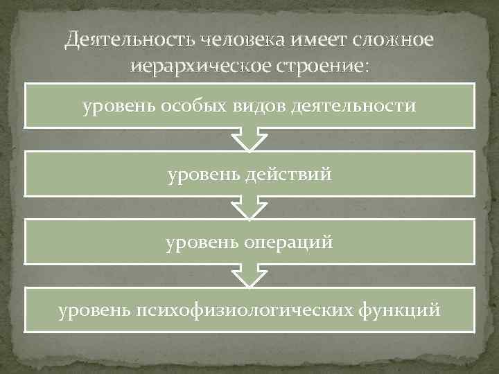 Деятельность человека имеет сложное иерархическое строение: уровень особых видов деятельности уровень действий уровень операций