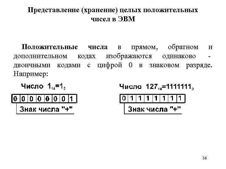 Представление (хранение) целых положительных чисел в ЭВМ Положительные числа в прямом, обратном и дополнительном