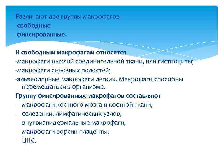 Различают две группы макрофагов -свободные фиксированные. К свободным макрофагам относятся -макрофаги рыхлой соединительной ткани,