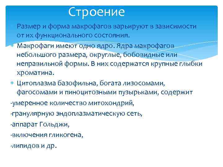 Строение Размер и форма макрофагов варьируют в зависимости от их функционального состояния. Макрофаги имеют