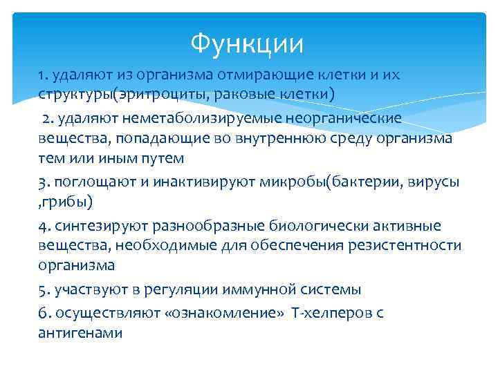 Функции 1. удаляют из организма отмирающие клетки и их структуры(эритроциты, раковые клетки) 2. удаляют