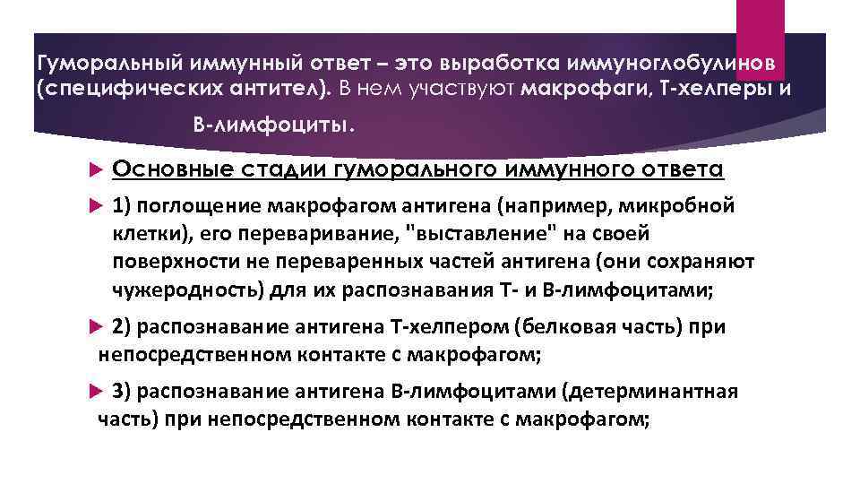 Гуморальный иммунный ответ – это выработка иммуноглобулинов (специфических антител). В нем участвуют макрофаги, Т-хелперы