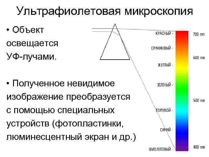 Ультрафиолетовая микроскопия • Объект освещается УФ-лучами. • Полученное невидимое изображение преобразуется с помощью специальных