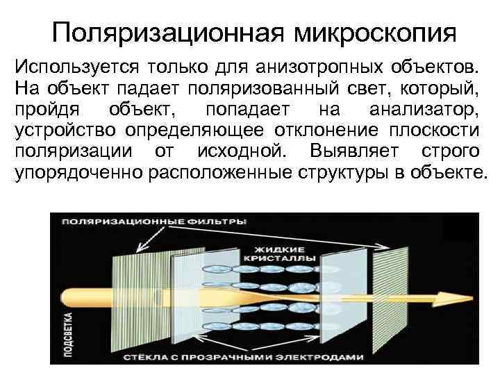 Поляризационная микроскопия Используется только для анизотропных объектов. На объект падает поляризованный свет, который, пройдя