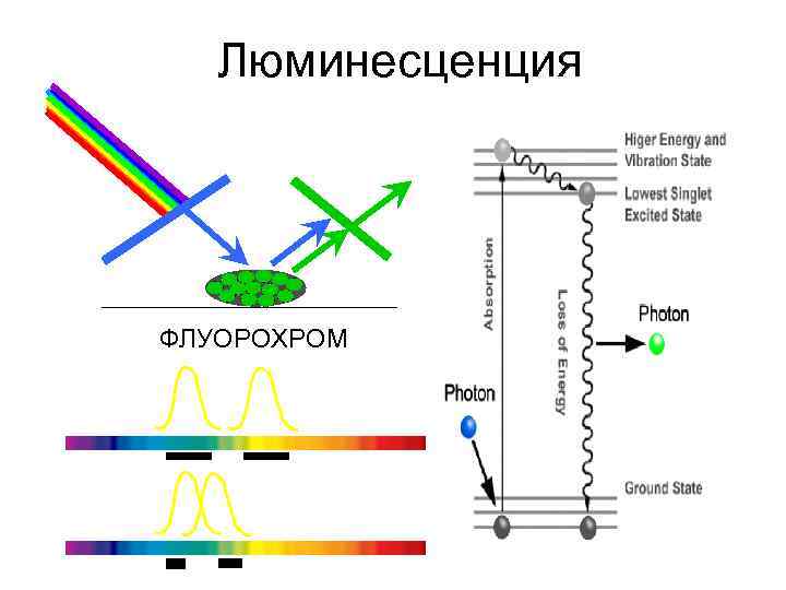 Люминесценция ФЛУОРОХРОМ 