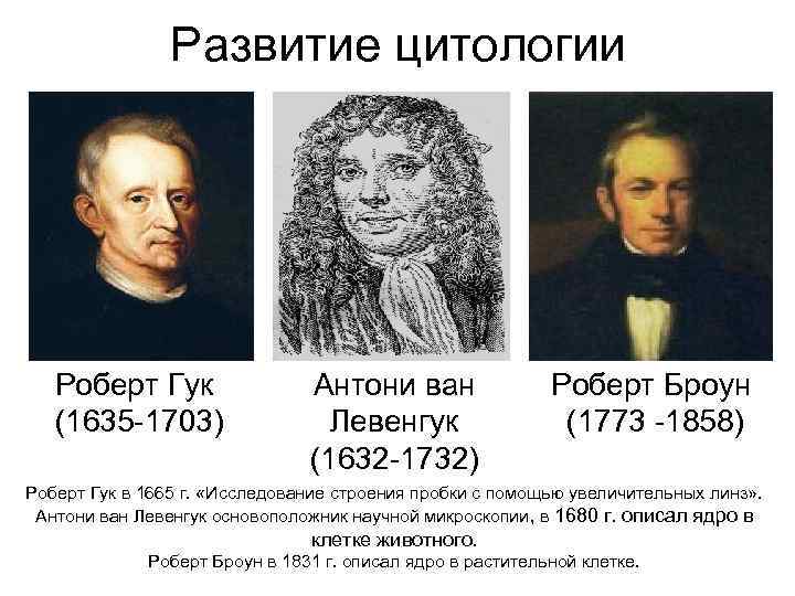 Развитие цитологии Роберт Гук (1635 -1703) Антони ван Левенгук (1632 -1732) Роберт Броун (1773