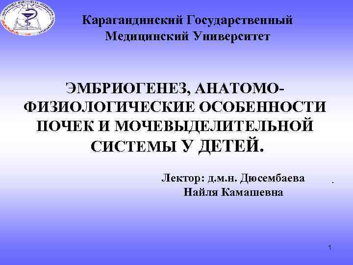 Карагандинский Государственный Медицинский Университет ЭМБРИОГЕНЕЗ, АНАТОМОФИЗИОЛОГИЧЕСКИЕ ОСОБЕННОСТИ ПОЧЕК И МОЧЕВЫДЕЛИТЕЛЬНОЙ СИСТЕМЫ У ДЕТЕЙ. Лектор: