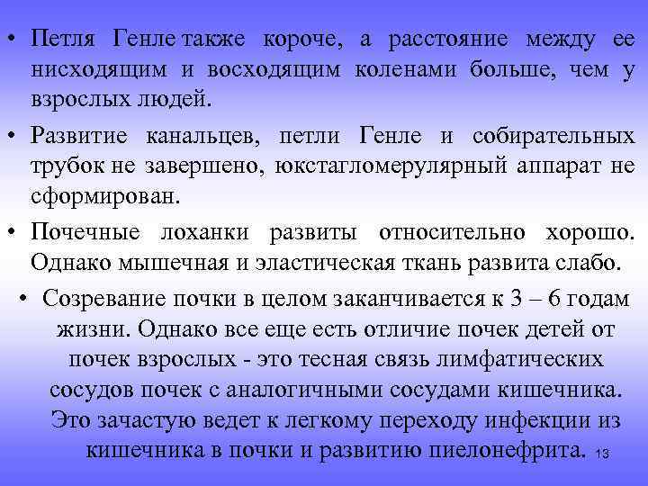  • Петля Генле также короче, а расстояние между ее нисходящим и восходящим коленами