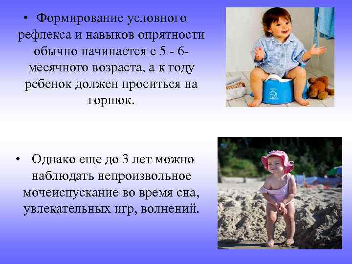  • Формирование условного рефлекса и навыков опрятности обычно начинается с 5 - 6