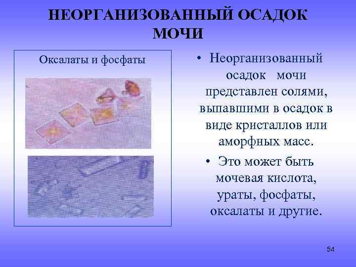 НЕОРГАНИЗОВАННЫЙ ОСАДОК МОЧИ Оксалаты и фосфаты • Неорганизованный осадок мочи представлен солями, выпавшими в