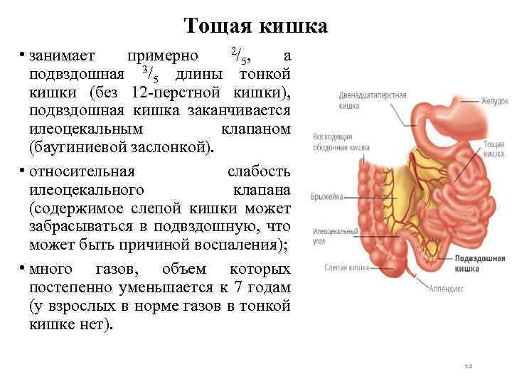 Кишечная колика у детей карта вызова смп