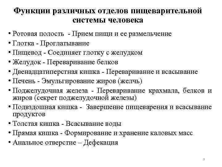 Функции различных отделов пищеварительной системы человека • Ротовая полость - Прием пищи и ее